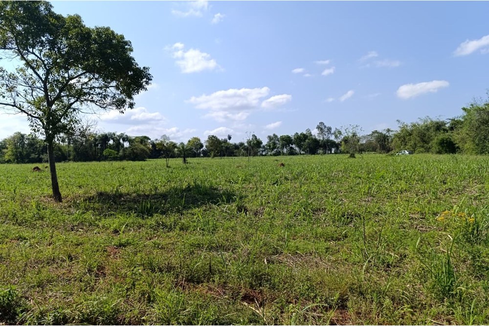 Campo en venta en Rincón, Guarambaré — foto 2
