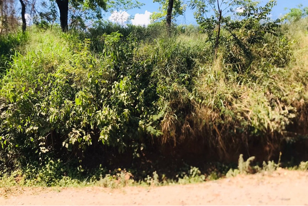 Terreno en venta en Mariano Roque Alonso — foto 2
