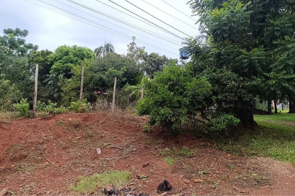 Terreno en venta en San Juan Del Paraná — foto 3