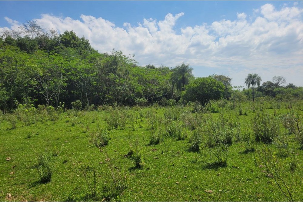 Propiedad en venta en Ñurundiay - Caridad, San Juan Nepomuceno — foto 3