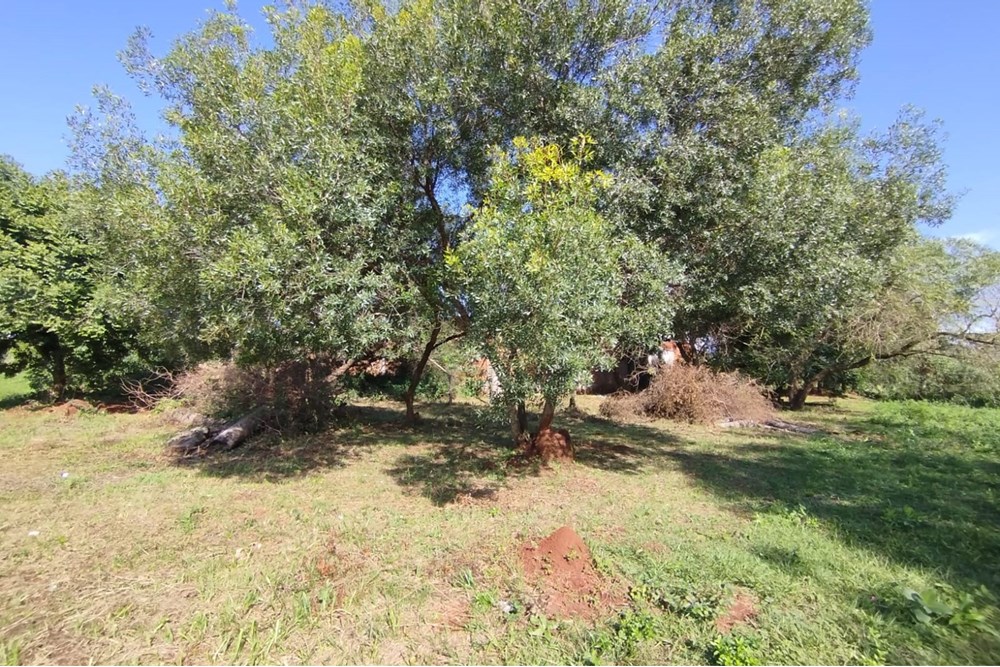 Terreno en venta en San Ignacio — foto 2