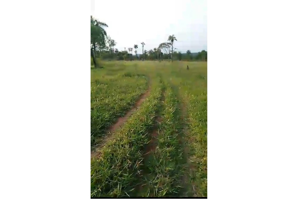 Campo en venta en Ybycuí — foto 2
