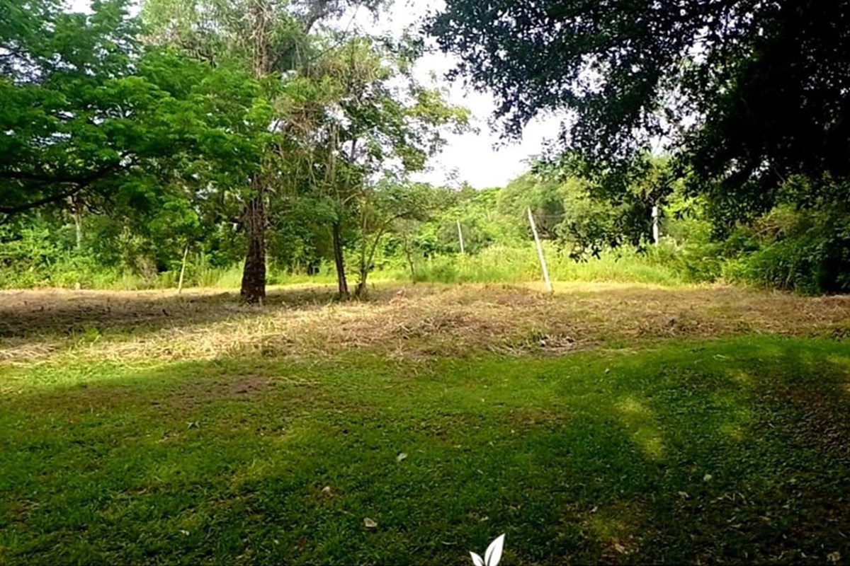 Terreno en venta en Limpio — foto 3