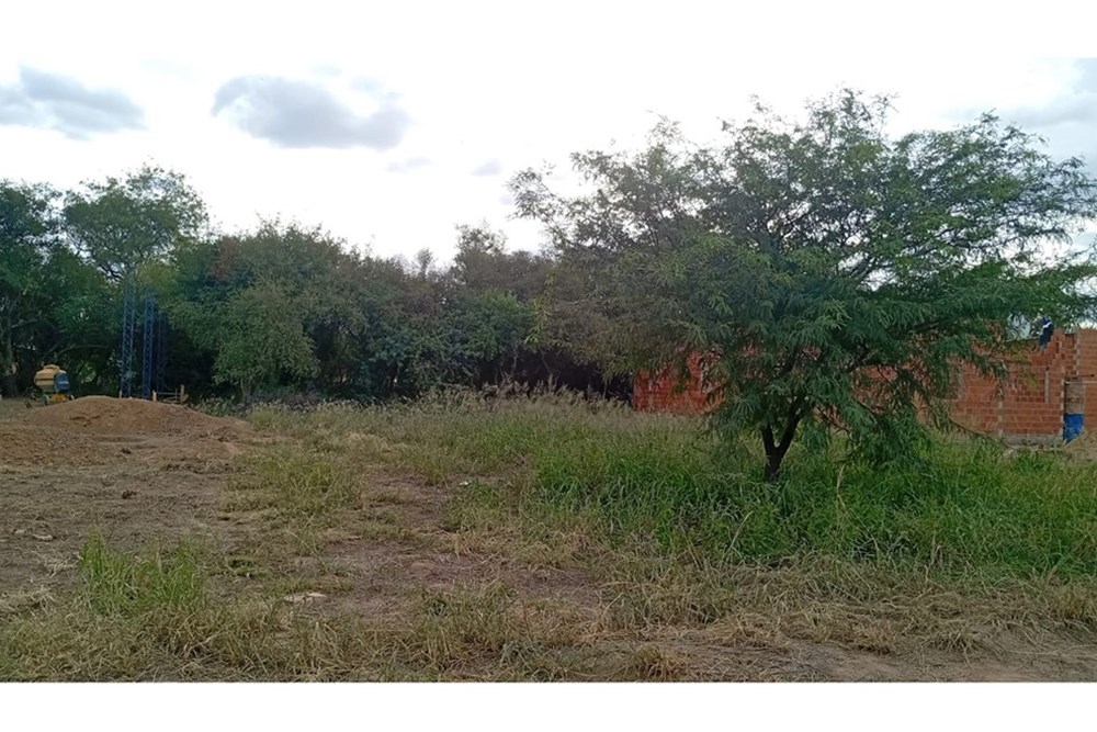 Terreno en venta en Filadelfia — foto 2