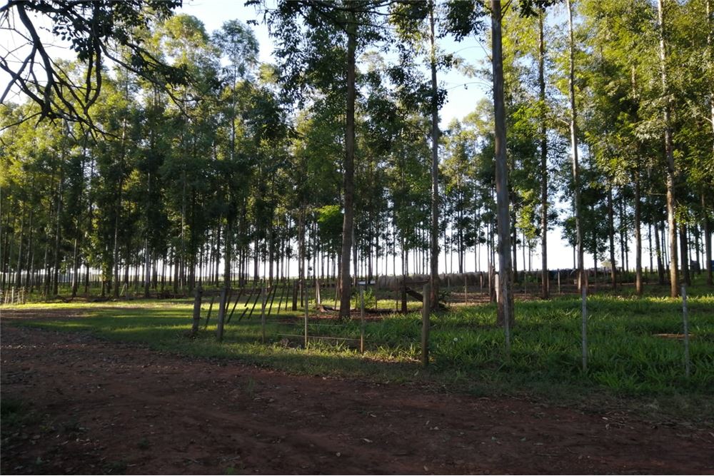Ubicado en la localidad de Fram Itapúa — foto 3