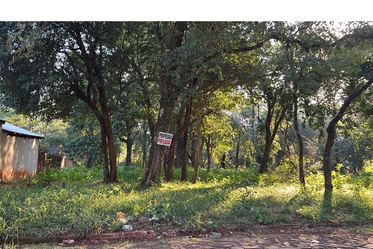 Terreno en venta en San Isidro, Encarnación — foto 2