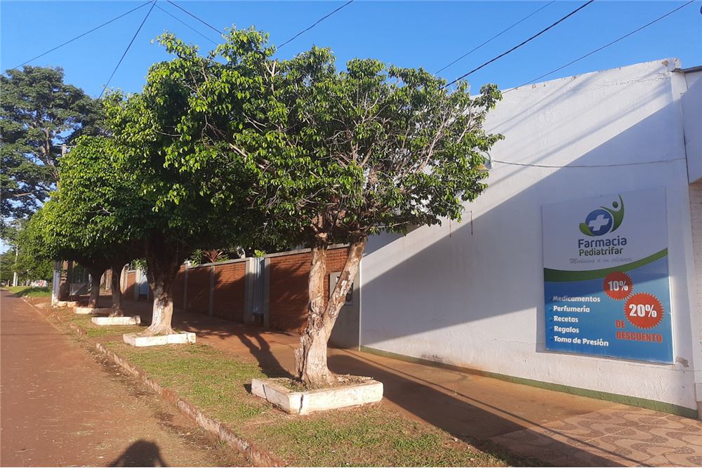 La propiedad está ubicada en una zona estratégica sobre la calle Santiago Leguizamon y Fraternidad. — foto 2