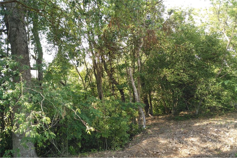 Terreno en venta en Bella Vista, Asunción — foto 3