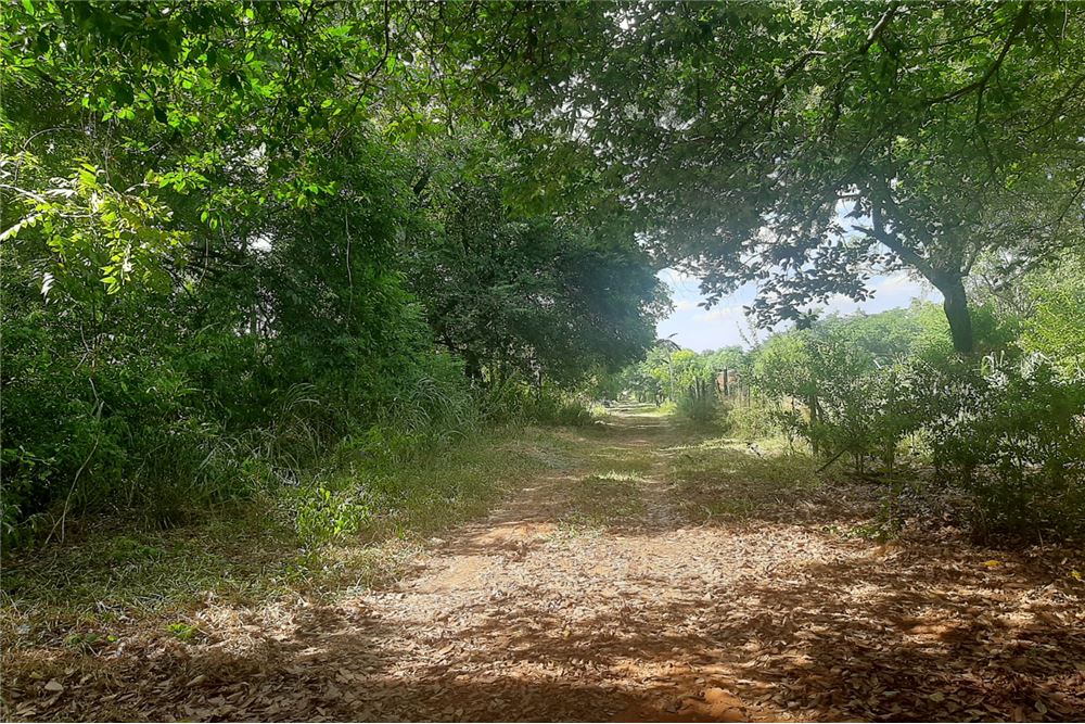 Terreno en venta en Isla Aveiro, Limpio — foto 2