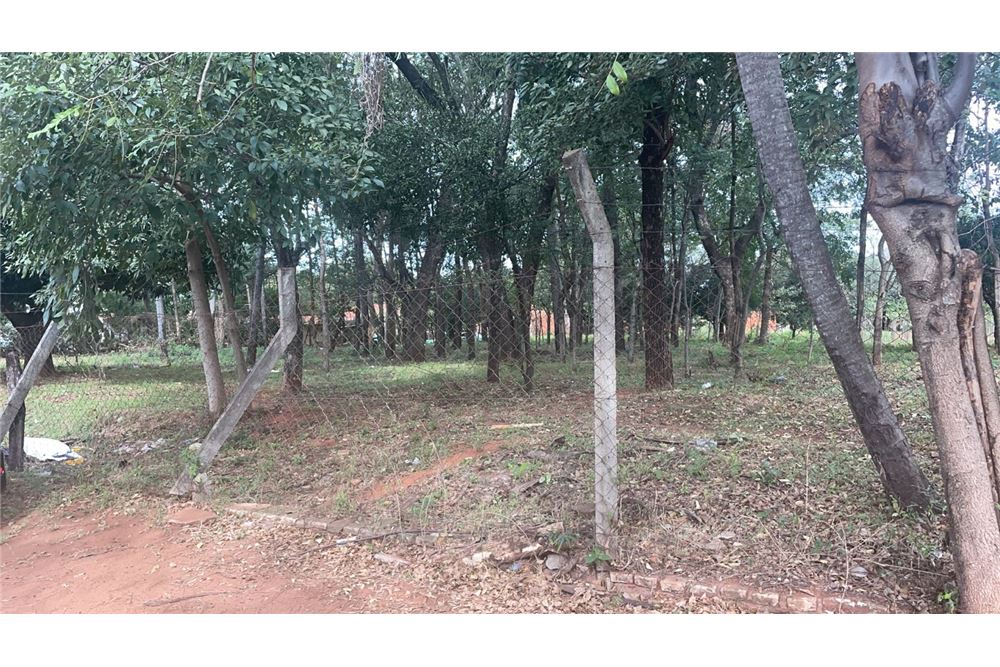 Vendo amplio terreno de 9.956 M2 de108 Mts de frente por 97Mts de fondo — foto 3