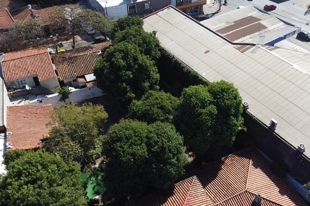 Local comercial en venta en Central, Fernando de la Mora — foto 3