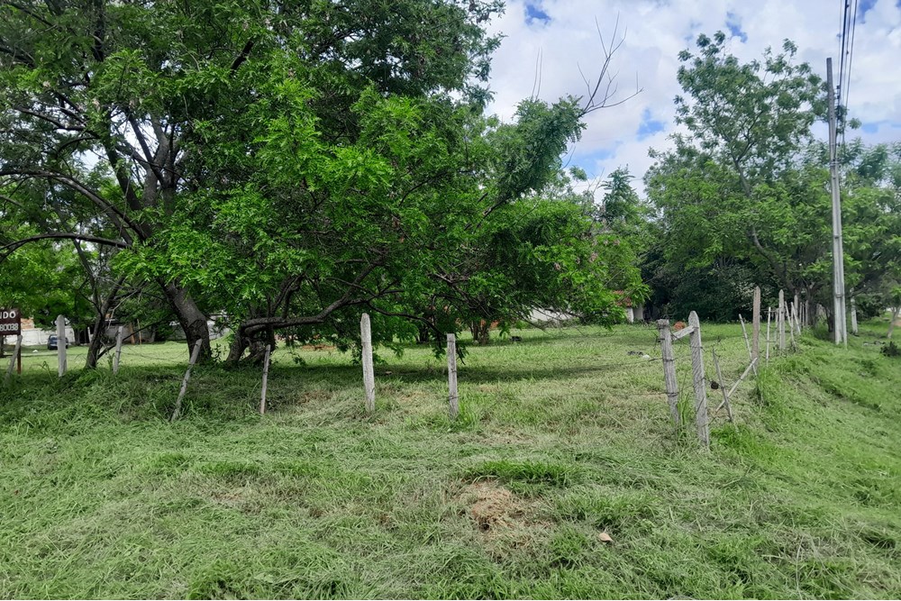 Terreno en venta en Cerrito, Capiatá — foto 3
