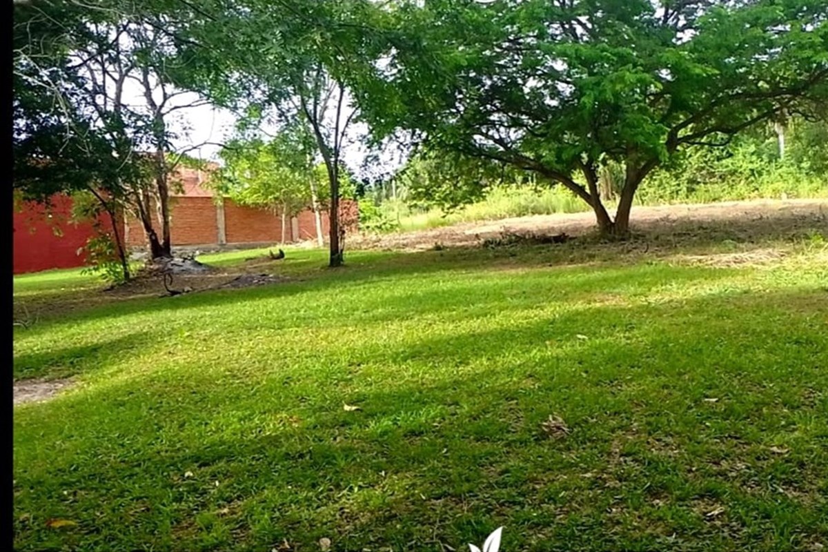 Terreno en venta en Limpio — foto 2