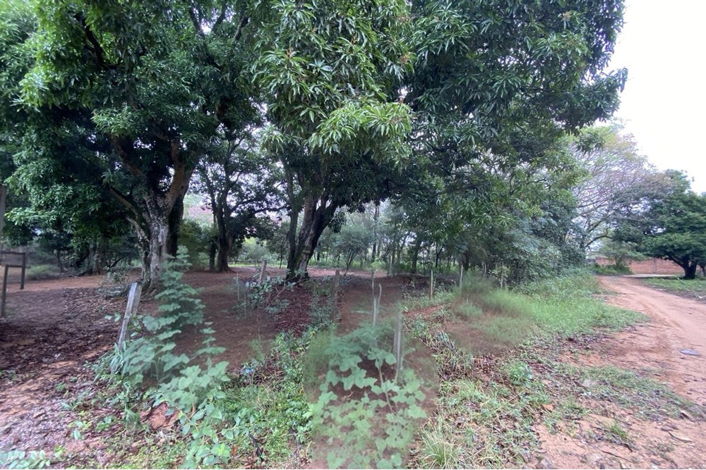 Terreno en venta en San Bernardino — foto 2