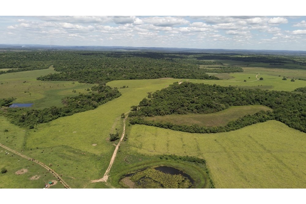 Campo en venta en Yuty — foto 2