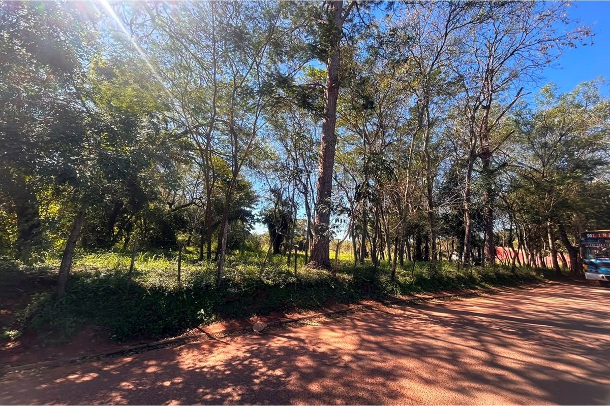 Terreno en venta en Laurelty, Capiatá — foto 3