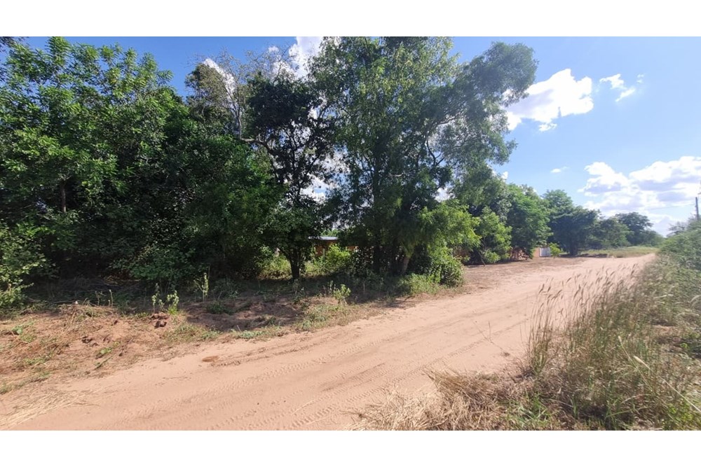 Terreno en venta en Loma Plata — foto 2