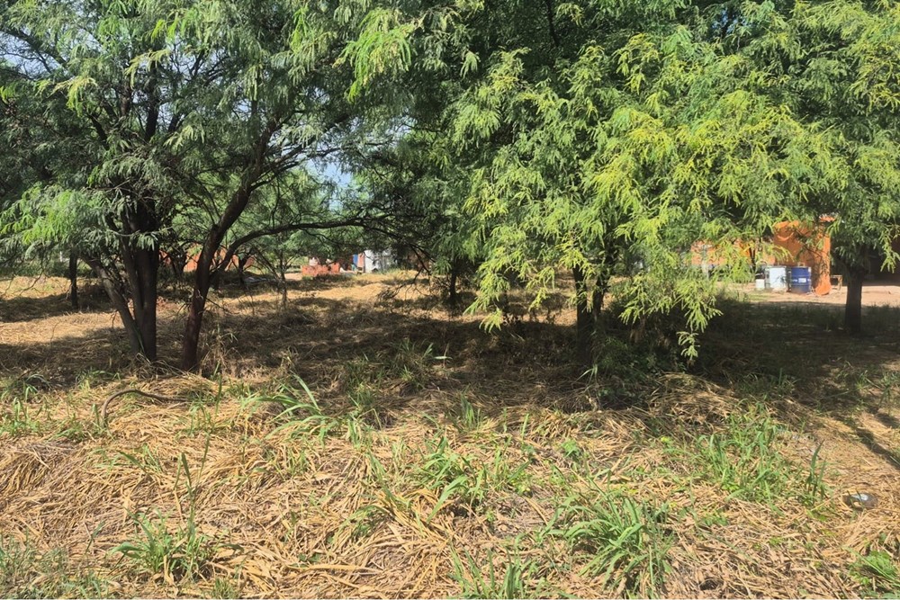 Terreno en venta en Filadelfia — foto 3