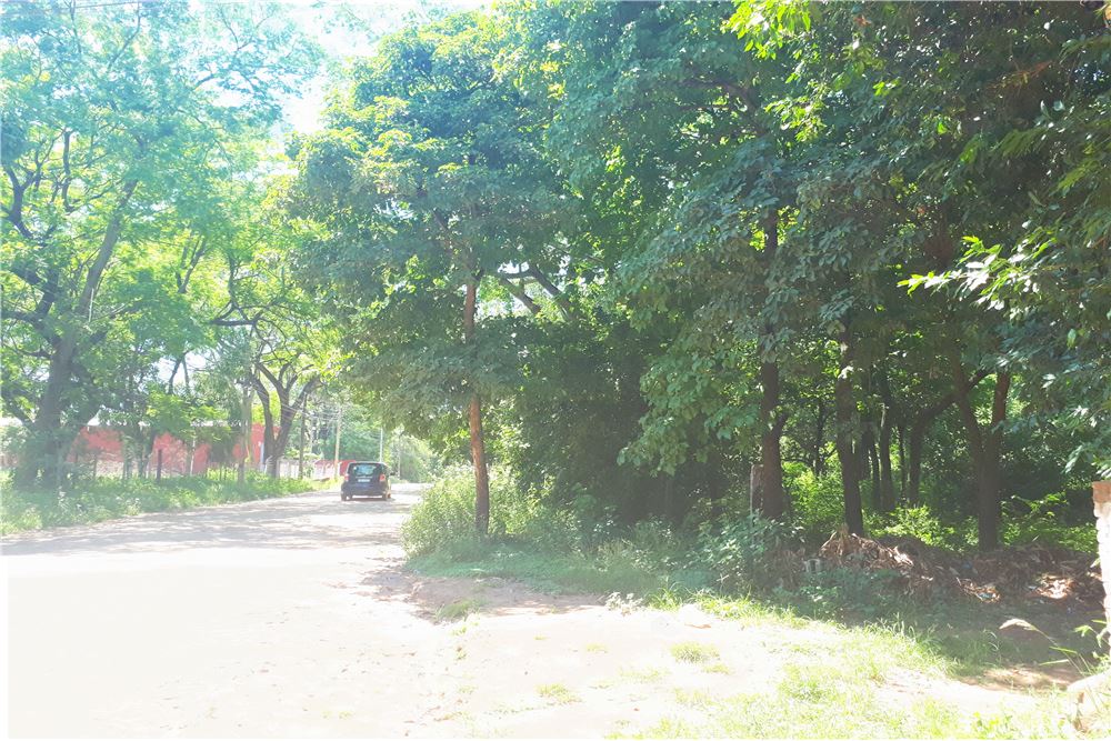 Venta de terreno 730 mtras2, a 4 cuadras de la transnchaco, Barrio Maria Auxiliadora . lugar apto para todo emprendimien — foto 2