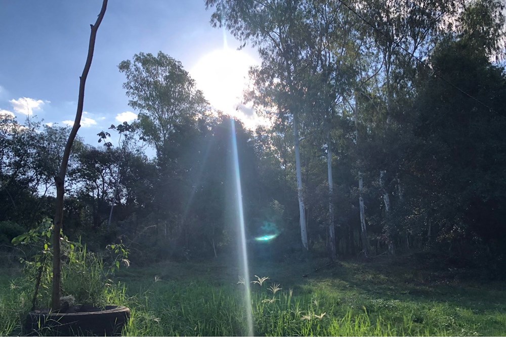 Terreno en venta en San Juan Del Paraná — foto 2