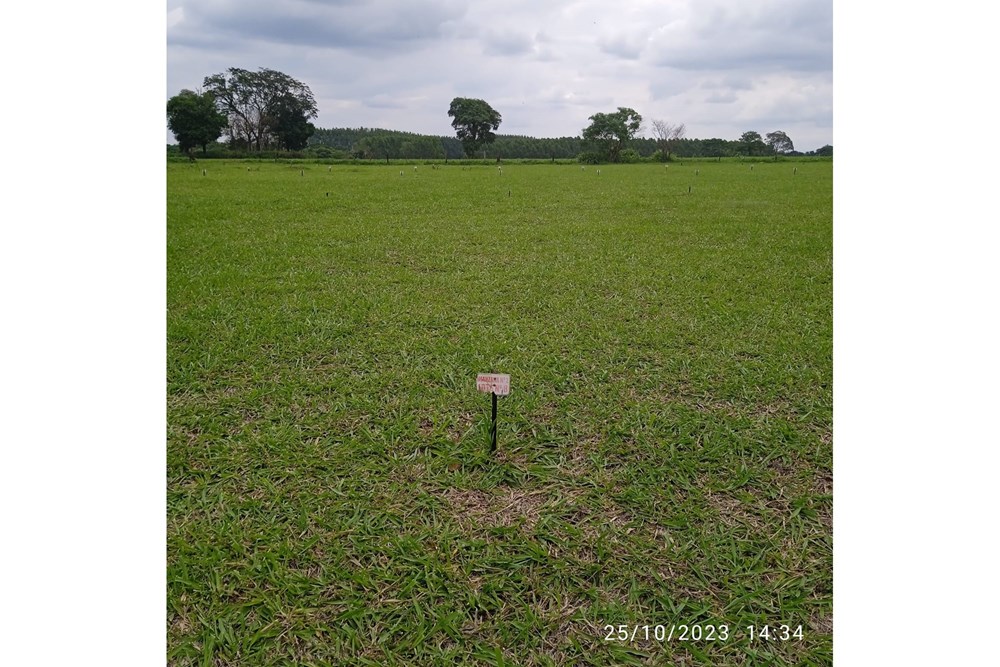 Terreno en venta en Minga Guazú — foto 3