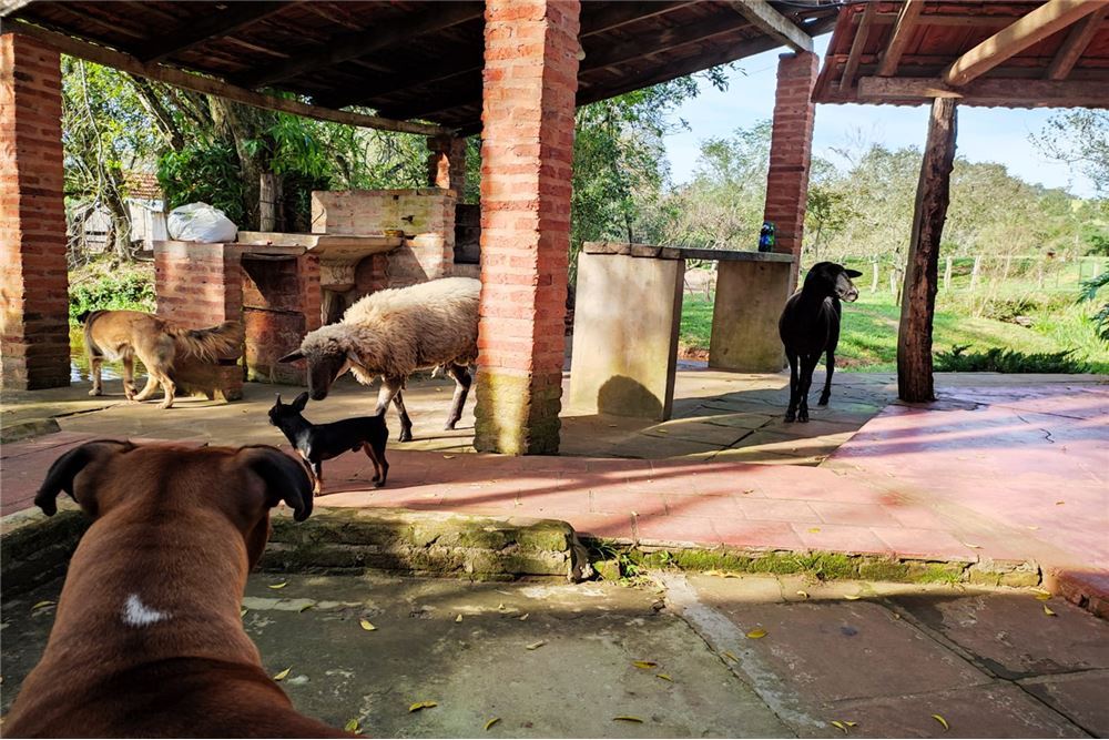 Campo en venta en Santísima Trinidad, Asunción — foto 2