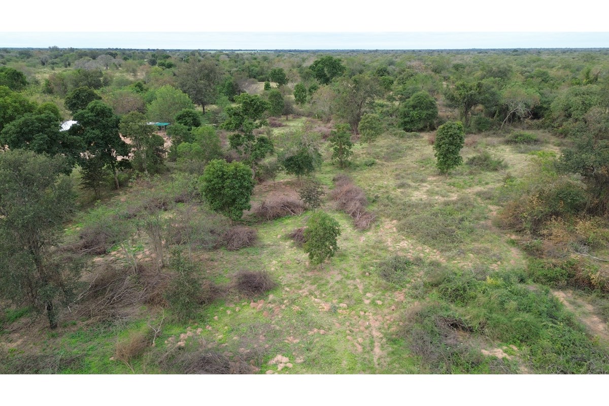 Terreno en venta en Loma Plata — foto 3