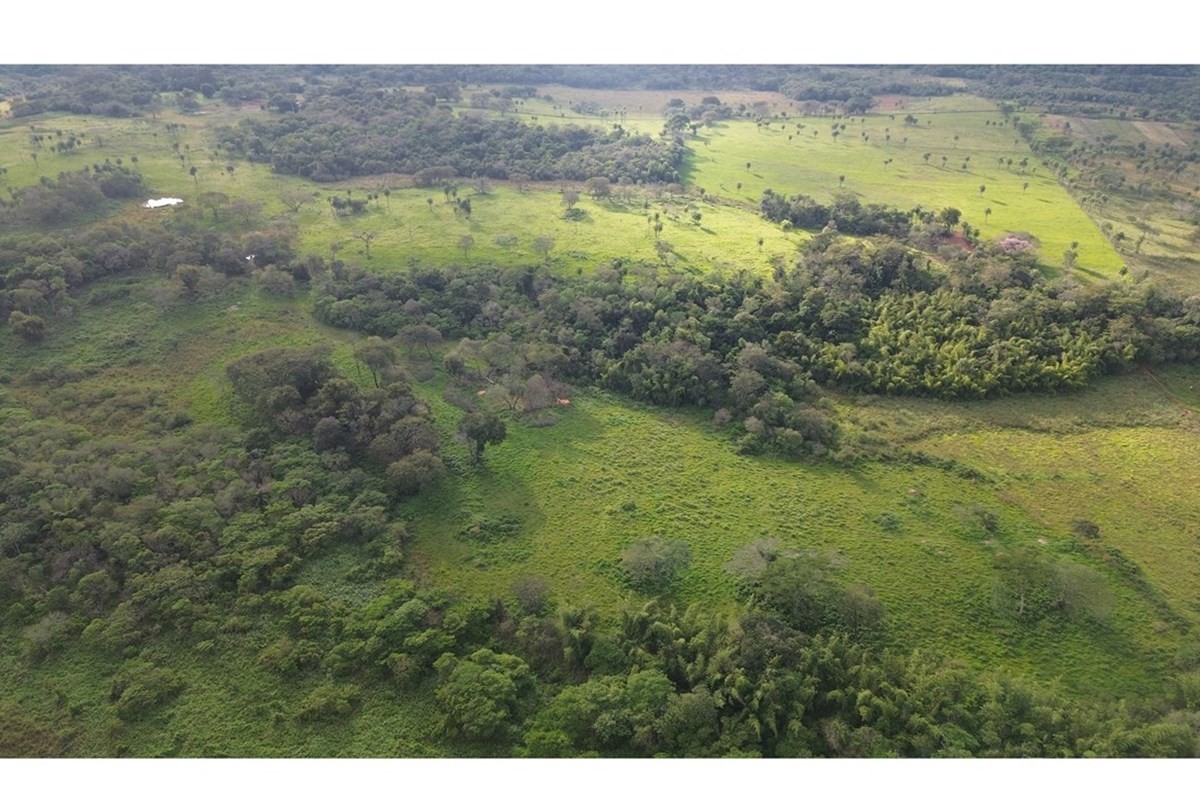 Ubicada en una de las zonas más privilegiadas de Ybycuí, esta extraordinaria propiedad combina el potencial productivo d — foto 3