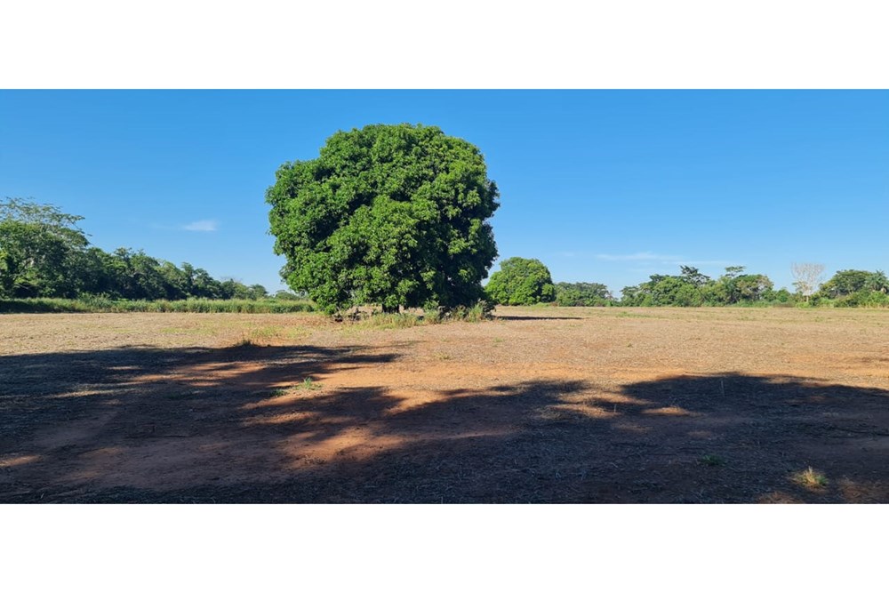 Terreno en venta en Itacurubí del Rosario — foto 2