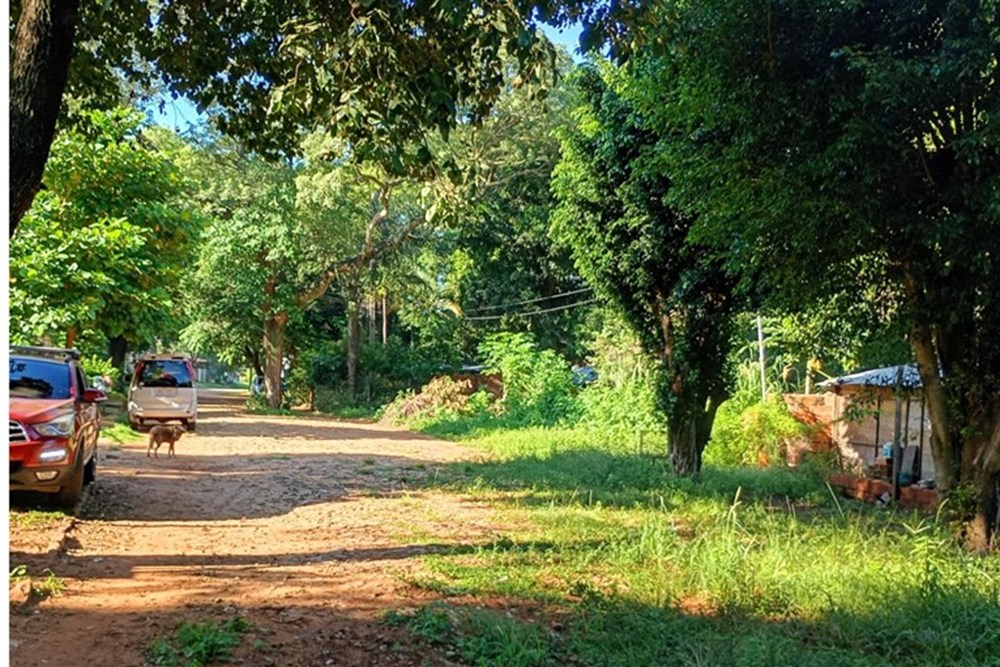Terreno en venta en Isla Bogado, Luque — foto 3