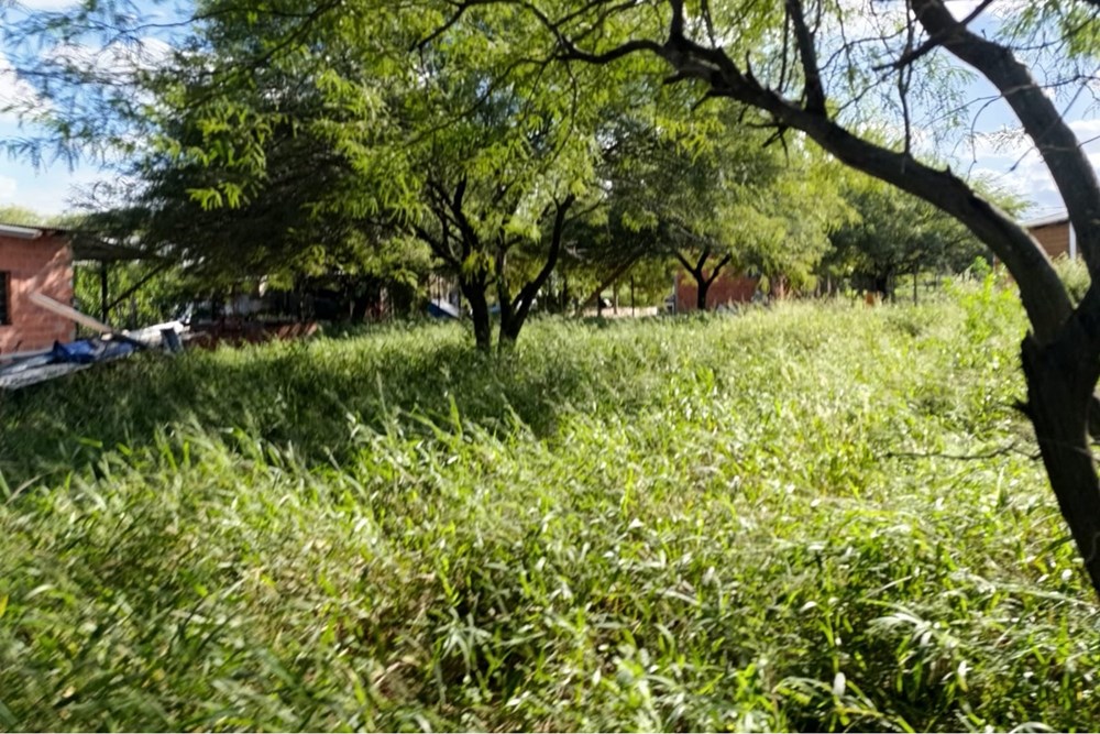 Terreno en venta en Filadelfia — foto 2