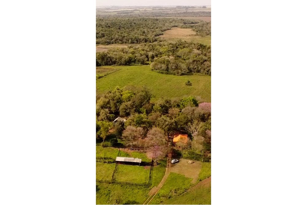Campo en venta en San Pedro Del Paraná — foto 3