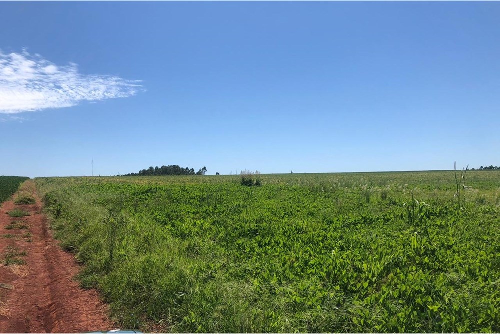 Propiedad en venta en Nueva Alborada — foto 3