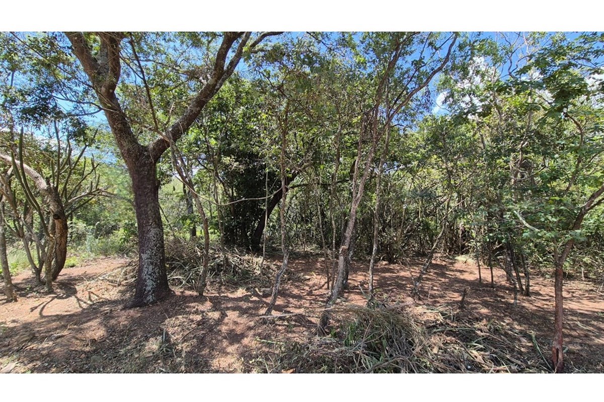 Terreno en venta en Yvy Anguy Segunda, San Bernardino — foto 2