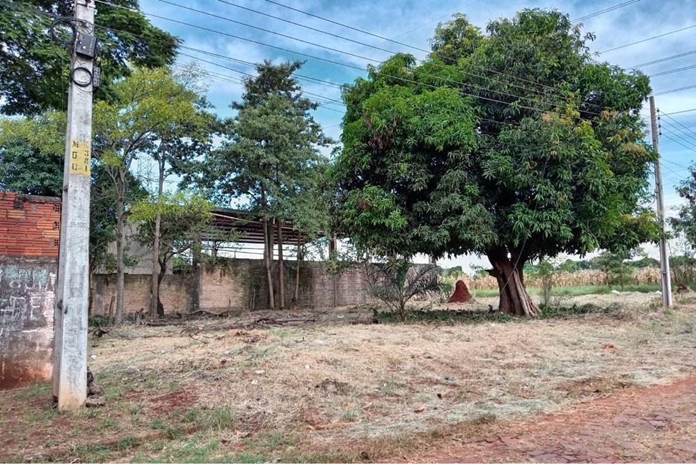 Terreno en venta en Minga Guazú — foto 3