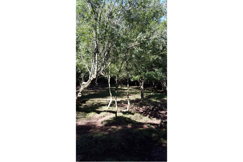 Propiedad en venta en Carmen Del Paraná — foto 3