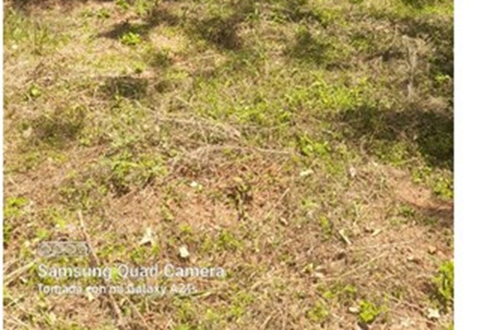 Terreno en venta en Cañadita, Ñemby — foto 2