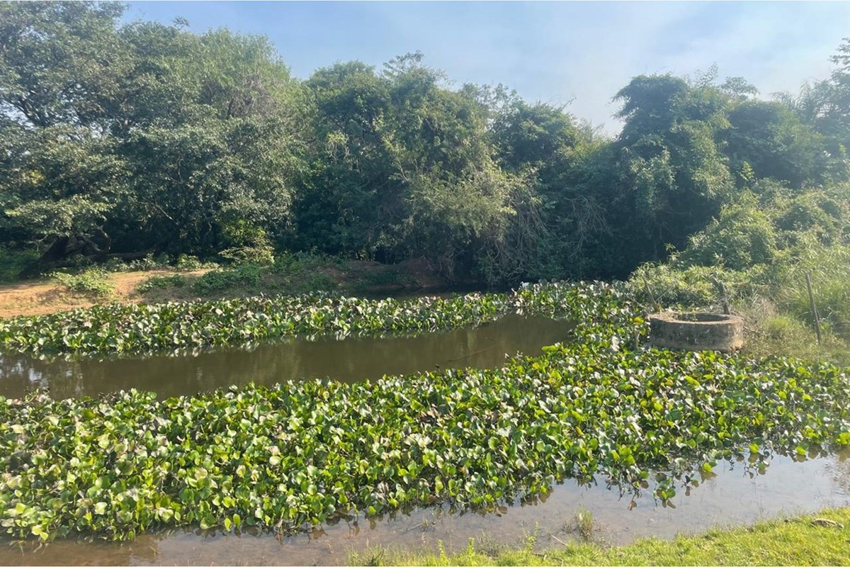 Propiedad en venta en Villeta — foto 3