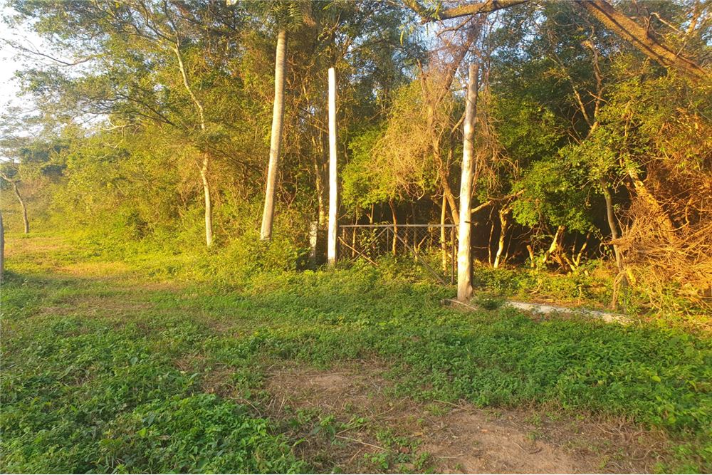 Terreno en venta en Paraguarí — foto 3
