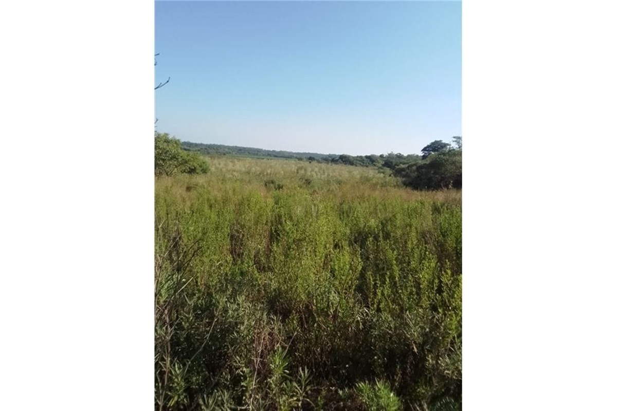Terreno en venta en Coronel Bogado — foto 2