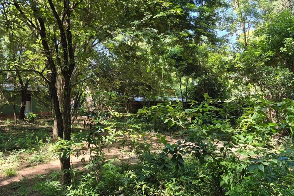 Propiedad con una superficie total de 2.500 m² (25 m de frente x 100 m de fondo), ideal tanto para casa quinta como para — foto 3