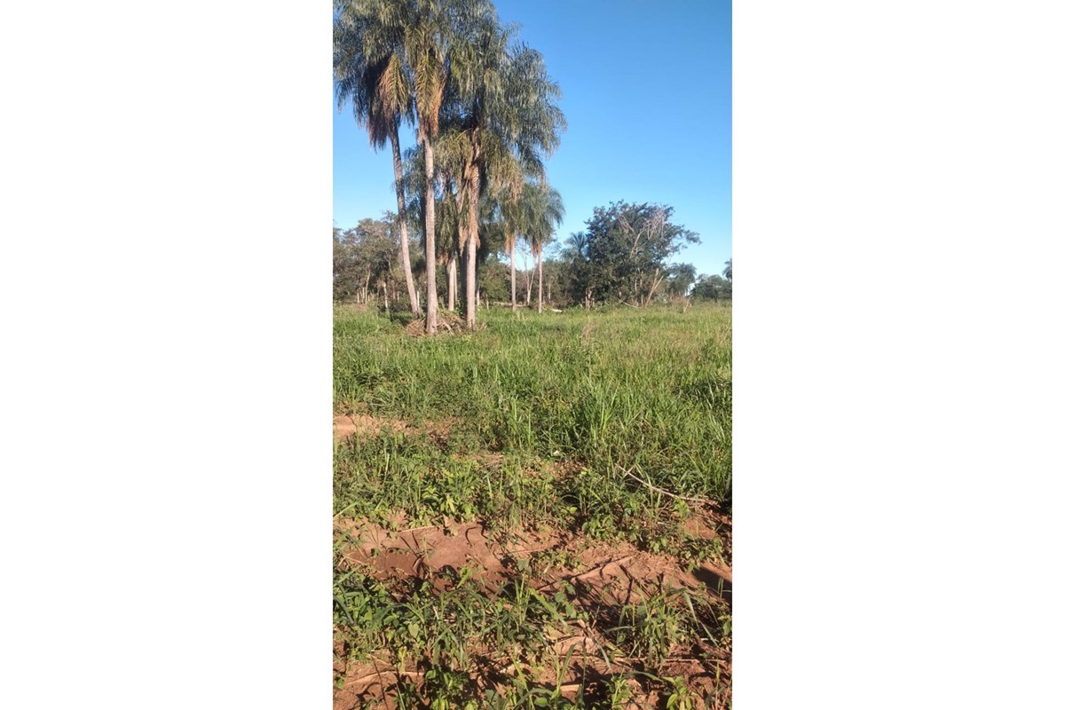 Terreno en venta en San Pedro — foto 2