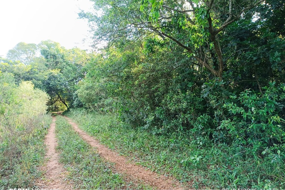 Terreno en venta en Paraguarí Zona Turística | 720 m² de calle a calle — foto 2