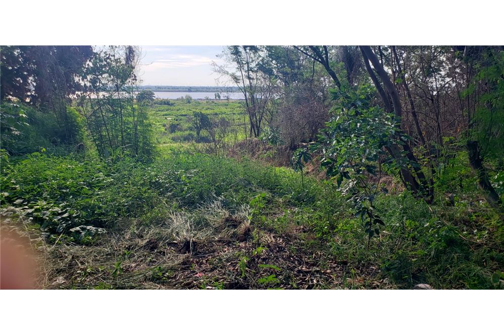 Alquilo amplio terreno al lado de Puerto Seguro, Barrio Caacupemi — photo 2