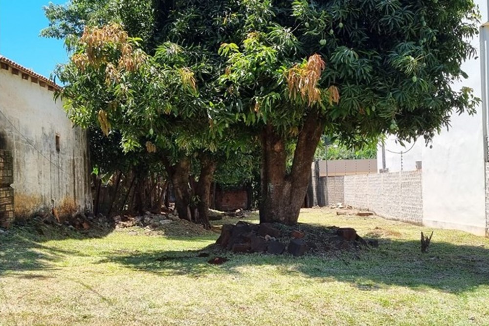 Terreno en venta en San Sebastián, Presidente Franco — foto 3