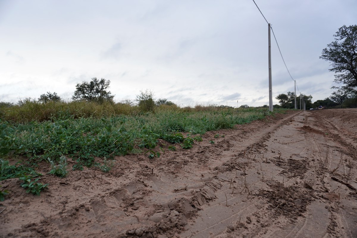 Terreno en venta en Filadelfia — foto 2