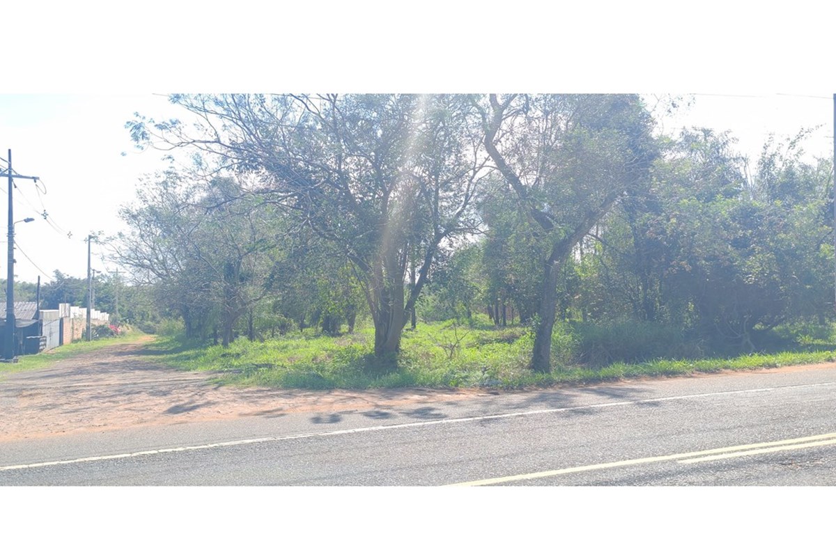 🚨🔥 ¡OPORTUNIDAD DE INVERSIÓN! 3 TERRENOS EN VENTA JUNTOS O POR SEPARADO 🔥🚨 — foto 3