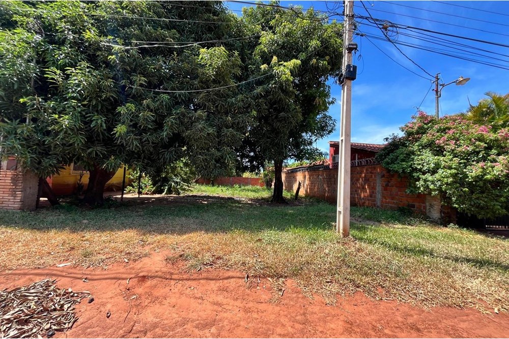 🌳 Hermoso terreno a la venta en Luque 🌳 — foto 3
