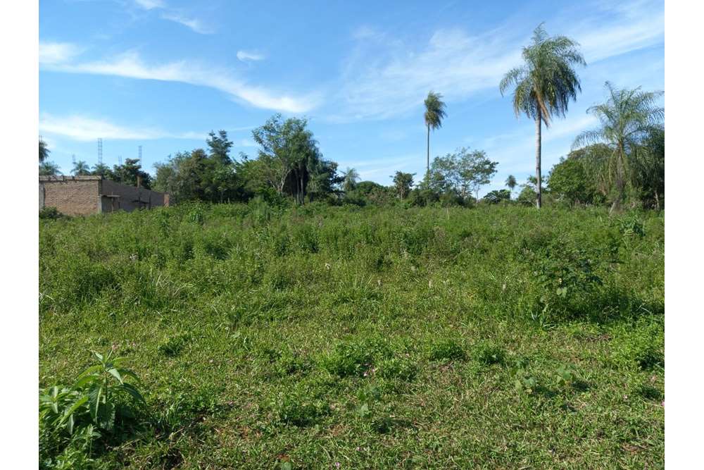 Terreno en venta en Tuyutimi, Villarrica — foto 3