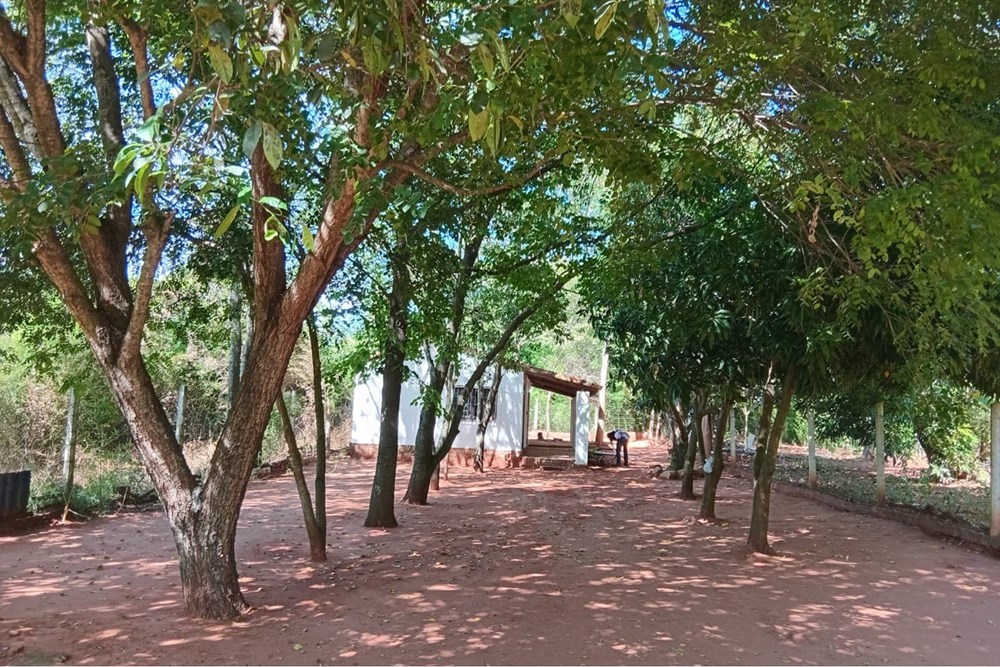 Barrio Kokue Guasu — foto 3